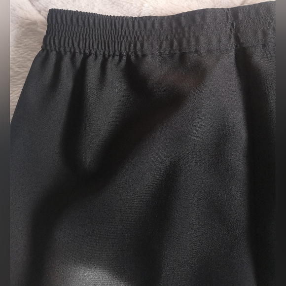 FairSet pants. - Picture 11 of 13